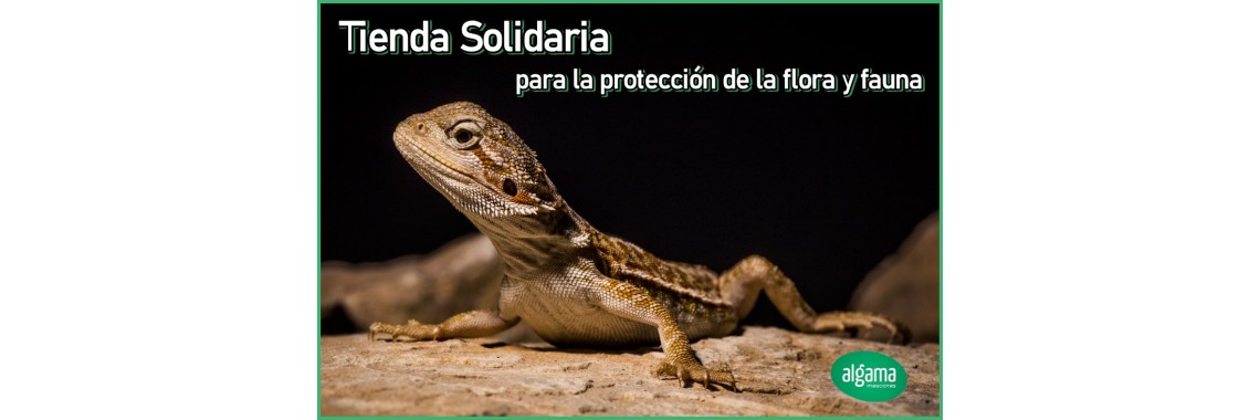 Tienda Solidaria